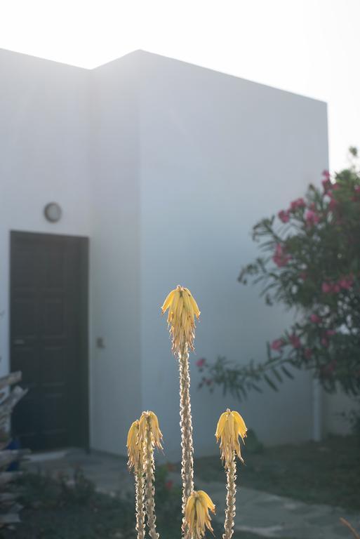 كوراليهو Drago Homes المظهر الخارجي الصورة